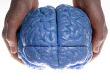 Training the Brain to Regain Intelligence
