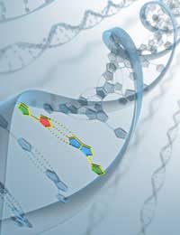 Intelligence Genes Genetics Magnetic