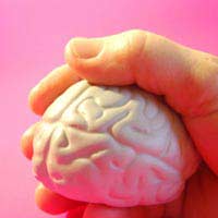 Intelligence Brain Mapping Brain Stroke